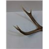 Image 2 : Deer Shed - 14" x 9"