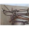 Image 2 : Halter, Bridle, Reins