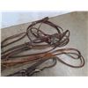Image 3 : Halter, Bridle, Reins