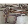 Image 4 : Halter, Bridle, Reins