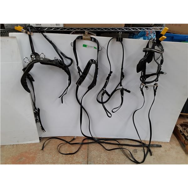 Single Harness, Bridle, Reins