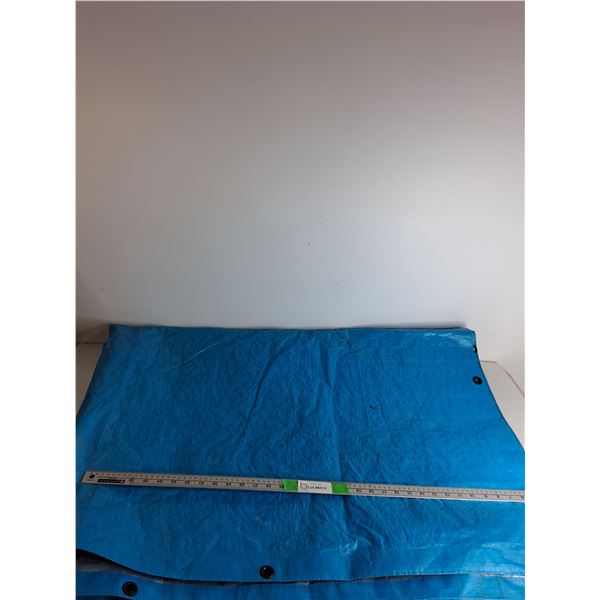 ** Blue Tarp 10ftx 10ft