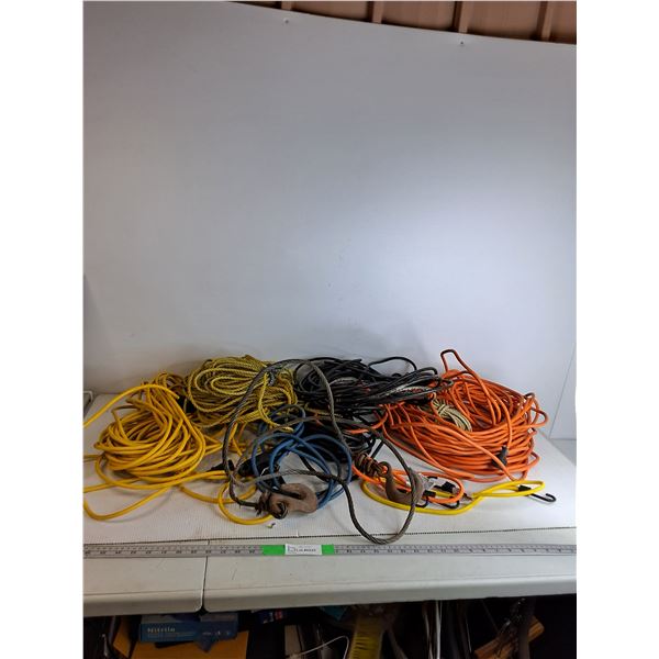 **Various Extension Cords and (2) Bungee Cords