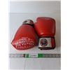 Image 1 : Fighters Inc. 14 Oz. Boxing Gloves- As Is
