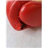 Image 3 : Fighters Inc. 14 Oz. Boxing Gloves- As Is