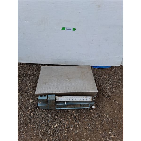 .**Stathmos Platform Scale, As Is, Maximum Weight:105lbs, Cannot Ship