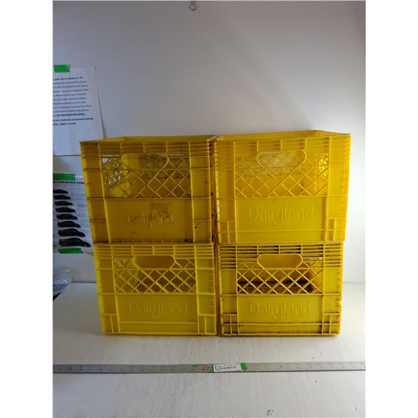 *(4) Yellow Dairyland Plastic Milk Crates  13" x 13" x 11"