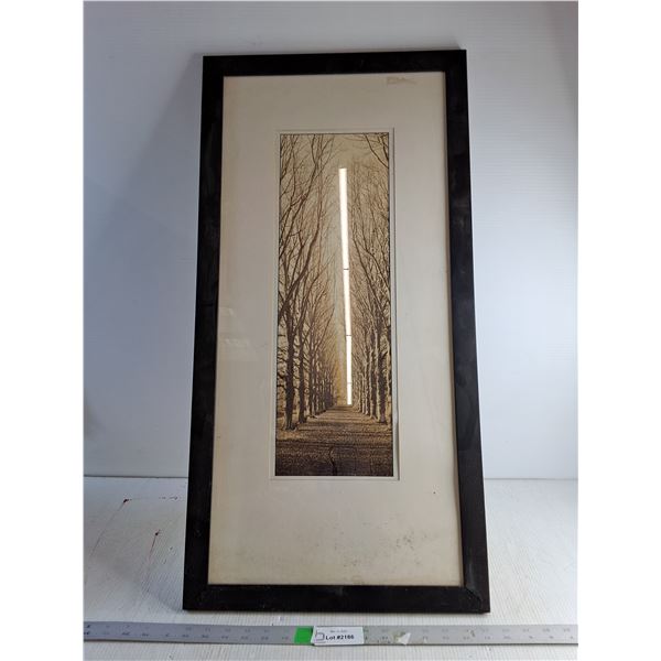 Framed With Glass And Matted Picture