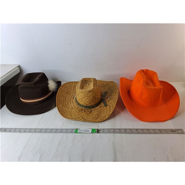 (3) Cowboy Style Hats