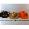 Image 1 : (3) Cowboy Style Hats