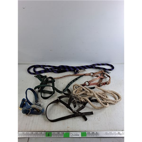 (4) Weaning Halters, (2) Leadropes