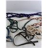 Image 3 : (4) Weanling Halters, (2) Leadropes