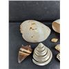 Image 2 : Various Sea Shells