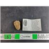 Image 1 : ^Trilobite Fossil - Authenticity Not Guaranteed