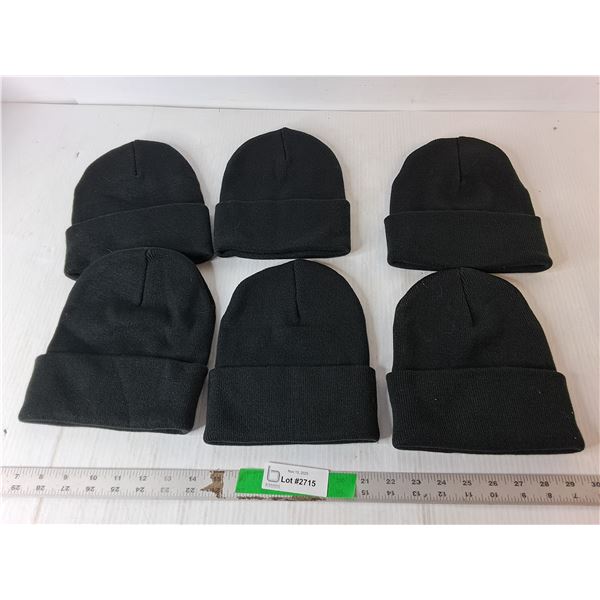 (6) The Authentic T-shirt Company Acrylic Toques