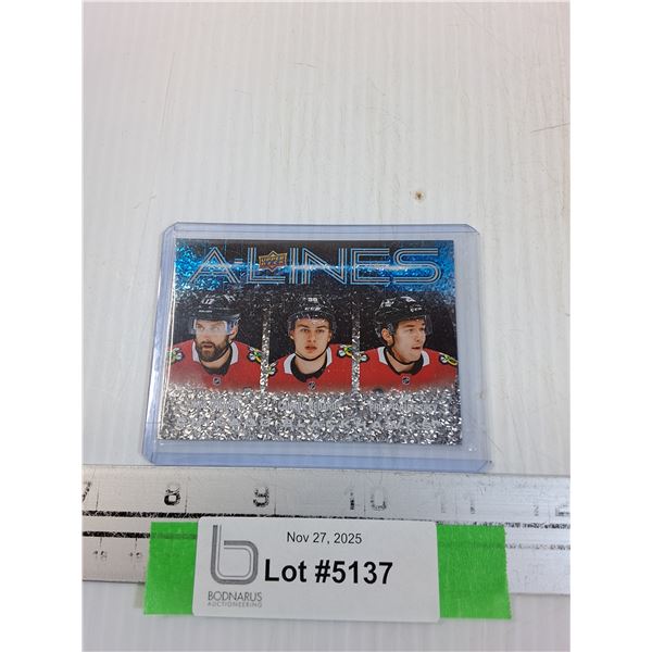 Upper Deck Connor Bedard Metallic Shimmer Trading Card - 2024-25 - CANNOT GUARANTEE AUTHENTICATION