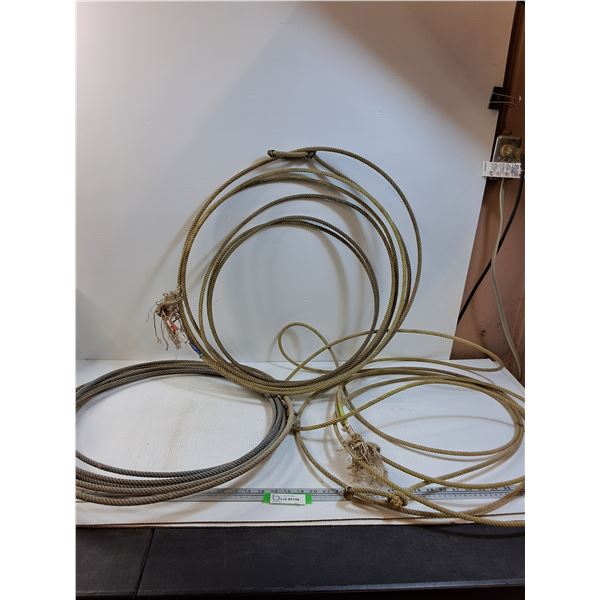 (3) Cattle Roping Ropes