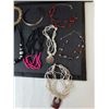 Image 2 : (12) Necklaces