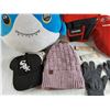 Image 3 : Shark Pillow, Husky Carpenters Tool Holder, Winter Hat, Gloves, Flint Paper Sheets, Misc