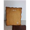 Image 4 : Home Remedies Book, Sun Bear Book,  Canoe Country Book, Leather Book Cover Hide, Eagle Hanging Photo