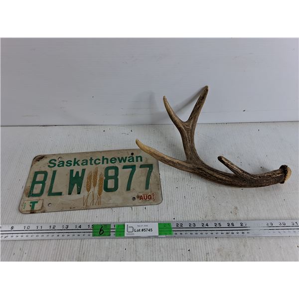Saskatchewan Licence Plate, Antler