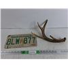 Image 1 : Saskatchewan Licence Plate, Antler