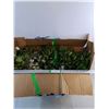 Large Box Containing Dried Floral Home Decor