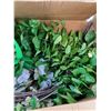 Image 3 : Large Box Containing Dried Floral Home Decor