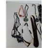 Image 3 : Assorted Costume Necklaces (13)- As Is