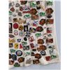 Image 7 : Various Pins- Sports, Universitys, NFL, CFL