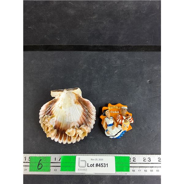 Rumba Cuba Souvenir Magnet, Sea Shell