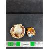 Image 1 : Rumba Cuba Souvenir Magnet, Sea Shell