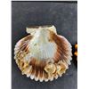 Image 2 : Rumba Cuba Souvenir Magnet, Sea Shell
