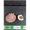 Image 4 : Rumba Cuba Souvenir Magnet, Sea Shell