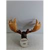 Image 4 : Chalk Moose Head Wall Decor
