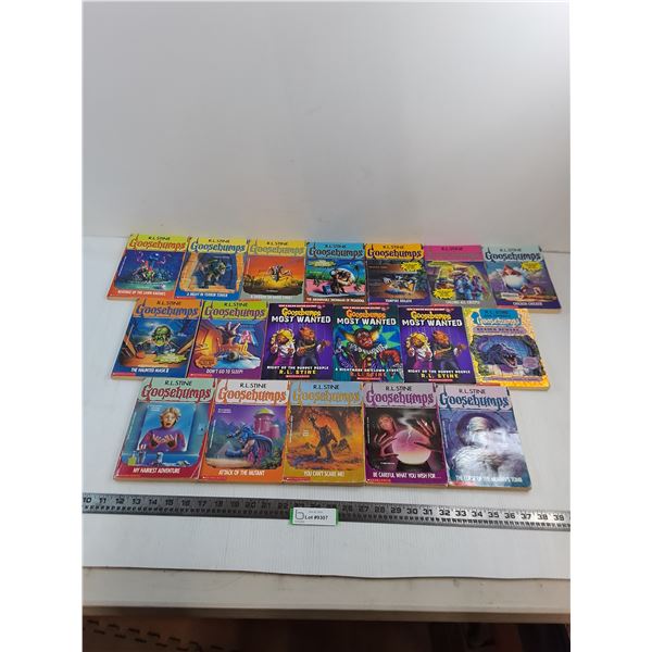 (18) Scholastic Goosebumps Novels
