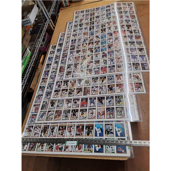 (4) Uncut Sheets of OPC 1991 NHL Collector Cards - 29" x 43" - Pickup Only