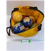 Image 1 : Lawn Bowling/Bocce Ball Set in Carrying Case