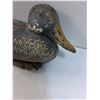 Image 2 : Plastic Duck Decoy 15" Long
