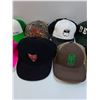 Image 3 : (12) Baseball Hats - Various
