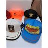 Image 2 : (12) Baseball Hats - Various