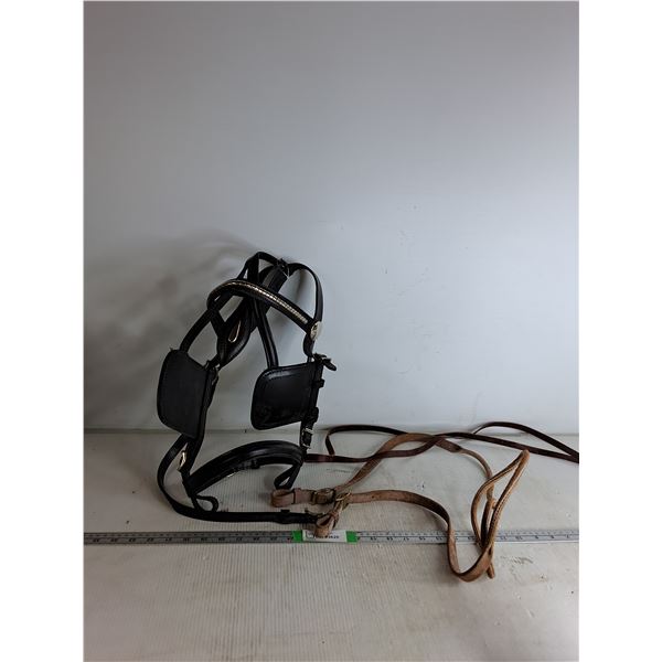 Harness Bridle, Reins, Leather Peices