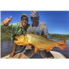 Image 2 : Golden Dorado Fishing and Wild Boar Hunting in Argentina with Catena Safaris