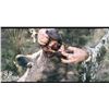 Image 3 : Golden Dorado Fishing and Wild Boar Hunting in Argentina with Catena Safaris