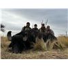 Image 8 : Golden Dorado Fishing and Wild Boar Hunting in Argentina with Catena Safaris