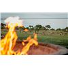 Image 11 : South Africa Hunt with Liam Urry Safaris