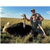 Image 2 : South Africa Hunt with Liam Urry Safaris