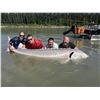 Image 4 : Sturgeon Fishing Trip