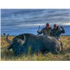 Image 11 : Big game hunt in Argentina with Catena Safaris