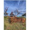Image 15 : Big game hunt in Argentina with Catena Safaris